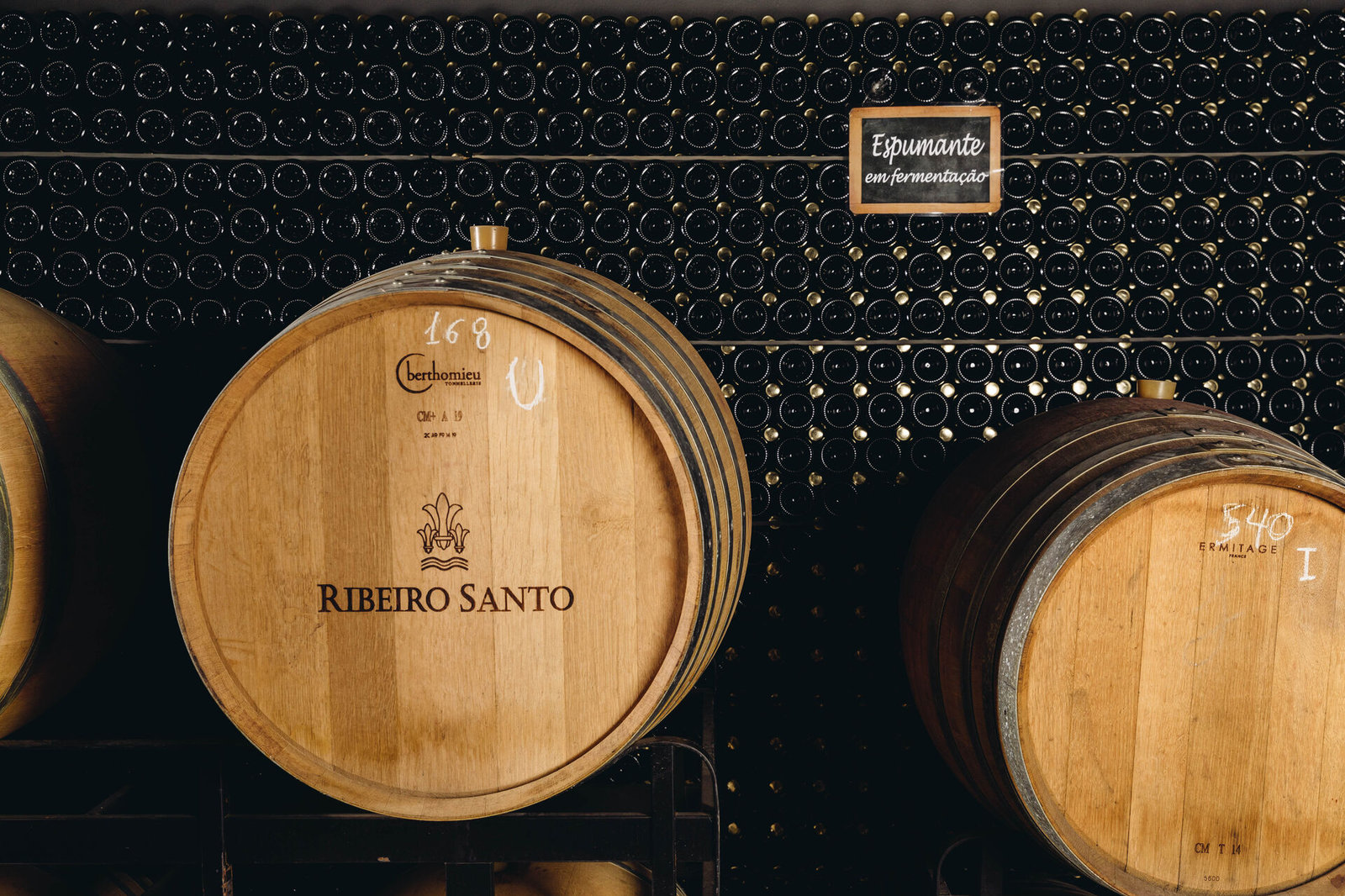 MAGNUM VINHOS
