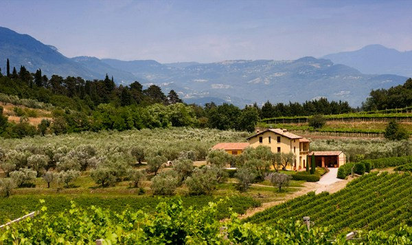 Podere Paradisino