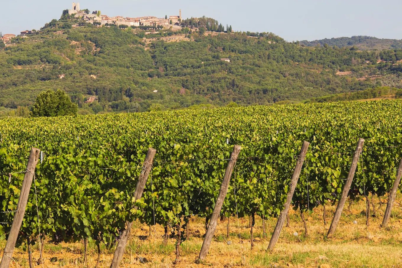 Tenute di Fraternita
