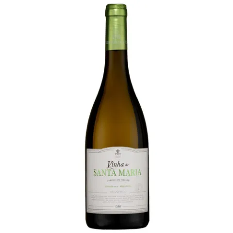 Vinha de Santa Maria Granitico Branco Magnum Carlos Lucas